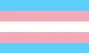 Transgender pride flag