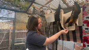 Why I Volunteer: Zaralee